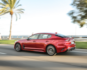 Kia Stinger Red Dynamic  (16)